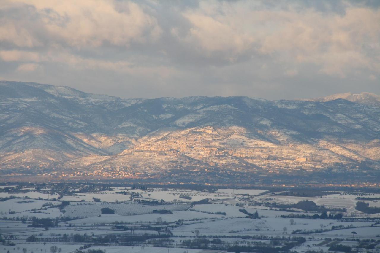Montepulciano StazioneMeuble Il Riccio住宿加早餐旅馆 外观 照片